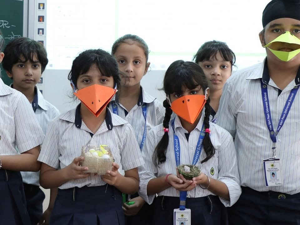 Bird Beak Adaptations: Learning Through Activity image 6