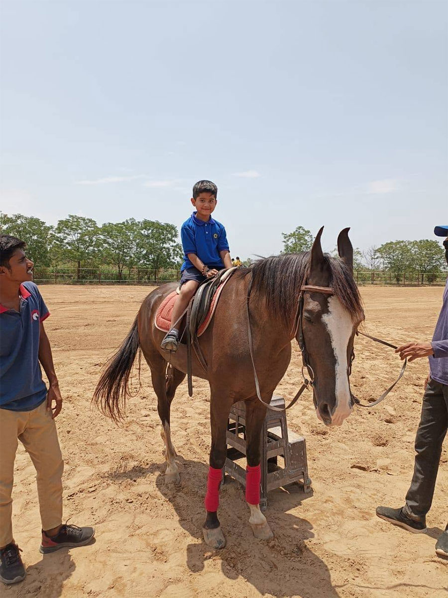A Fun-Filled Field Trip to Horse Shoe Cafe image 1
