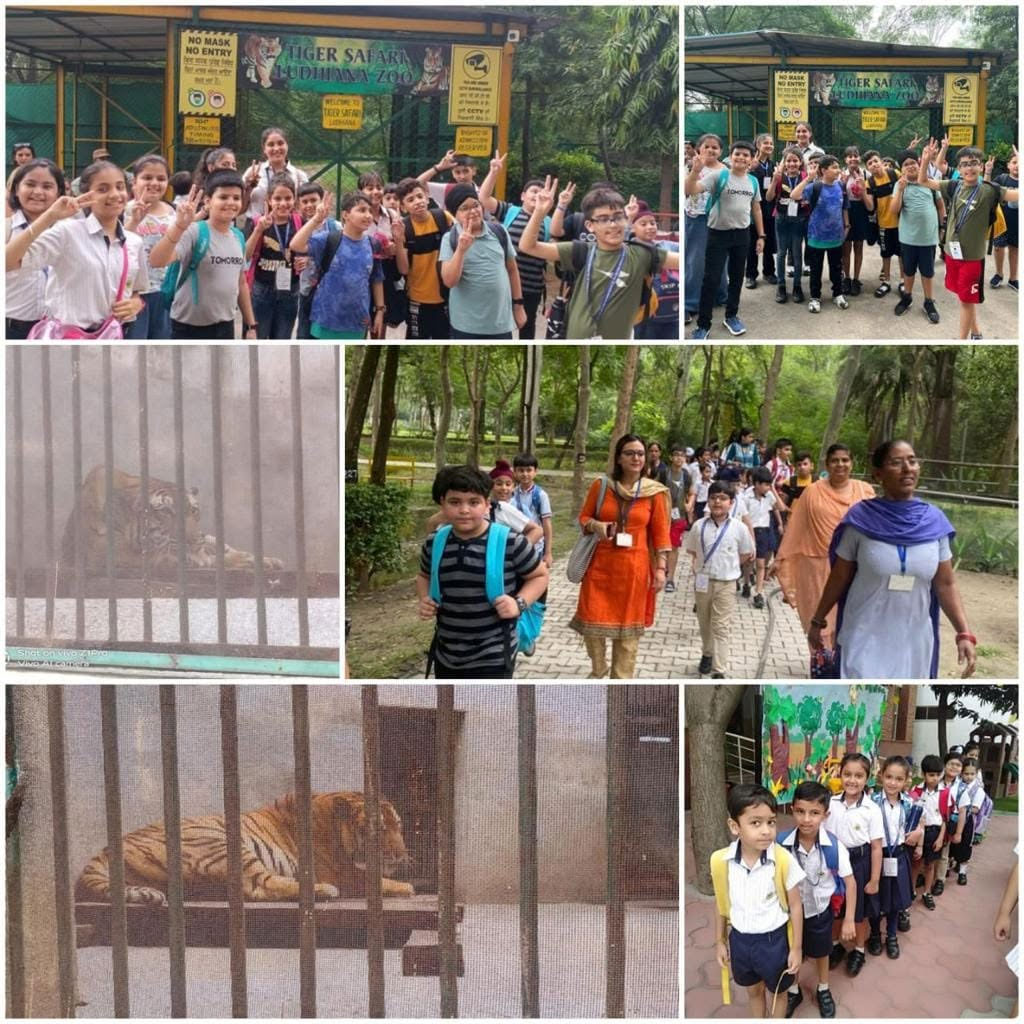 Learning About Tigers and Wildlife Conservation image 3