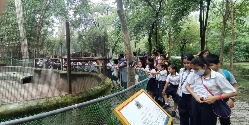 Learning About Tigers and Wildlife Conservation image 4