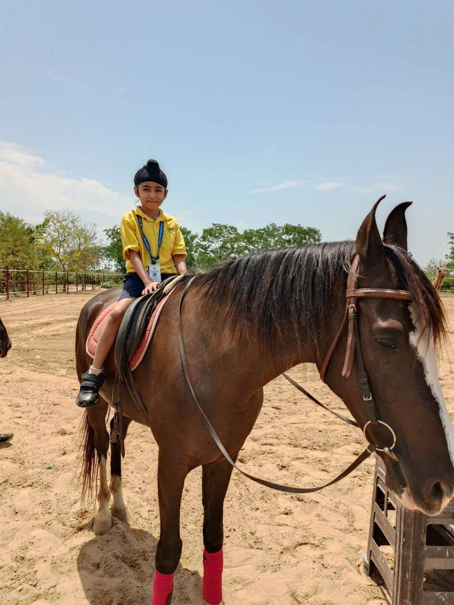 A Fun-Filled Field Trip to Horse Shoe Cafe image 3
