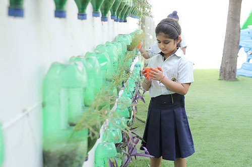 Environment Initiatives